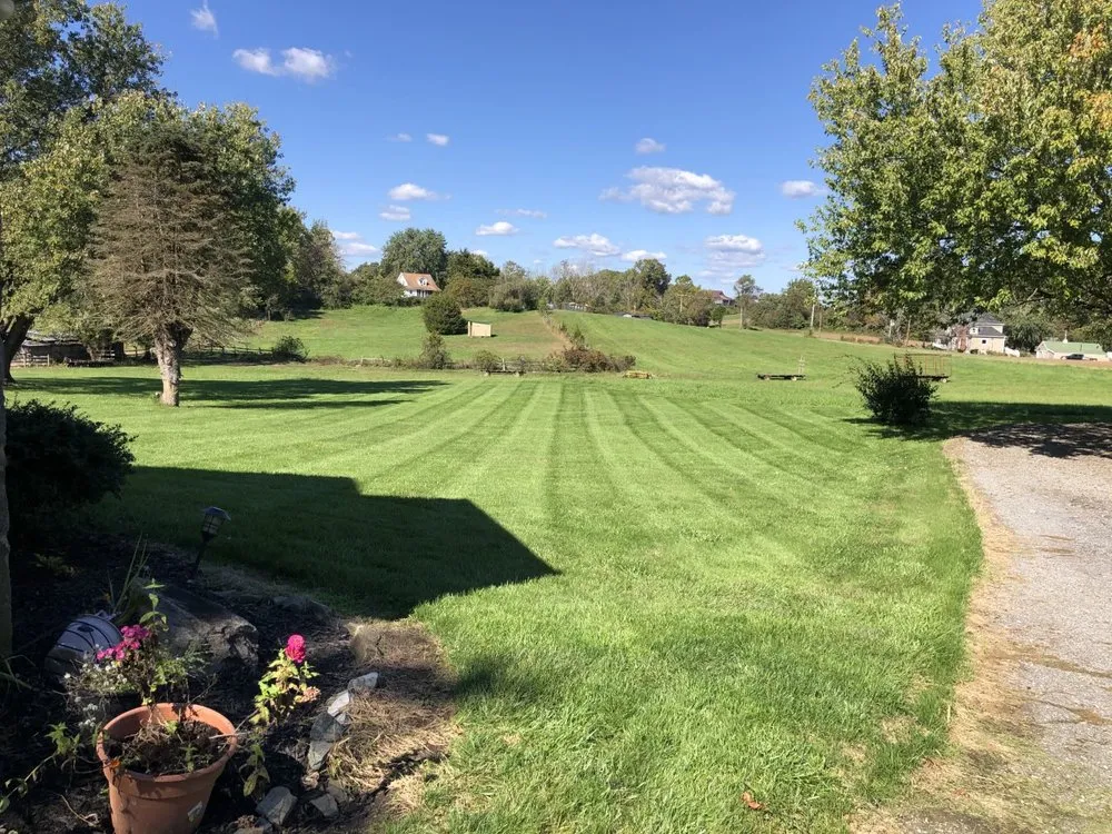 Affordable outdoor landscaping in Millersville, MD - Lawn Doctor - Annapolis
