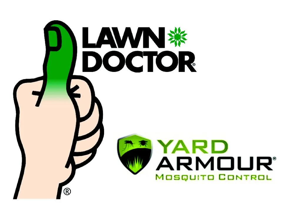 Top-rated yard cleanup service for outdoor upgrades across Millersville, MD - Lawn Doctor - Annapolis