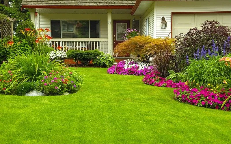 Professional yard cleanup service for beautiful yards in Millersville, MD by Lawn Doctor - Annapolis