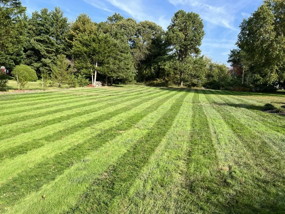 Affordable residential landscaping near you in Millersville, MD by Lawn Doctor - Annapolis