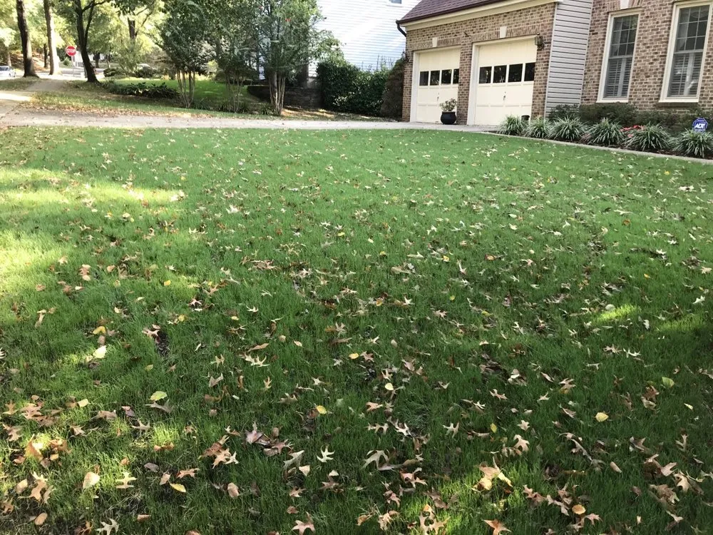 Expert lawn care service in Millersville, MD by Lawn Doctor - Annapolis