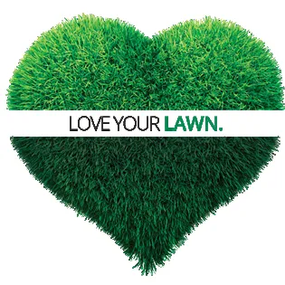 Local yard maintenance experts serving Baytown, TX - Lawn Doctor - Baytown