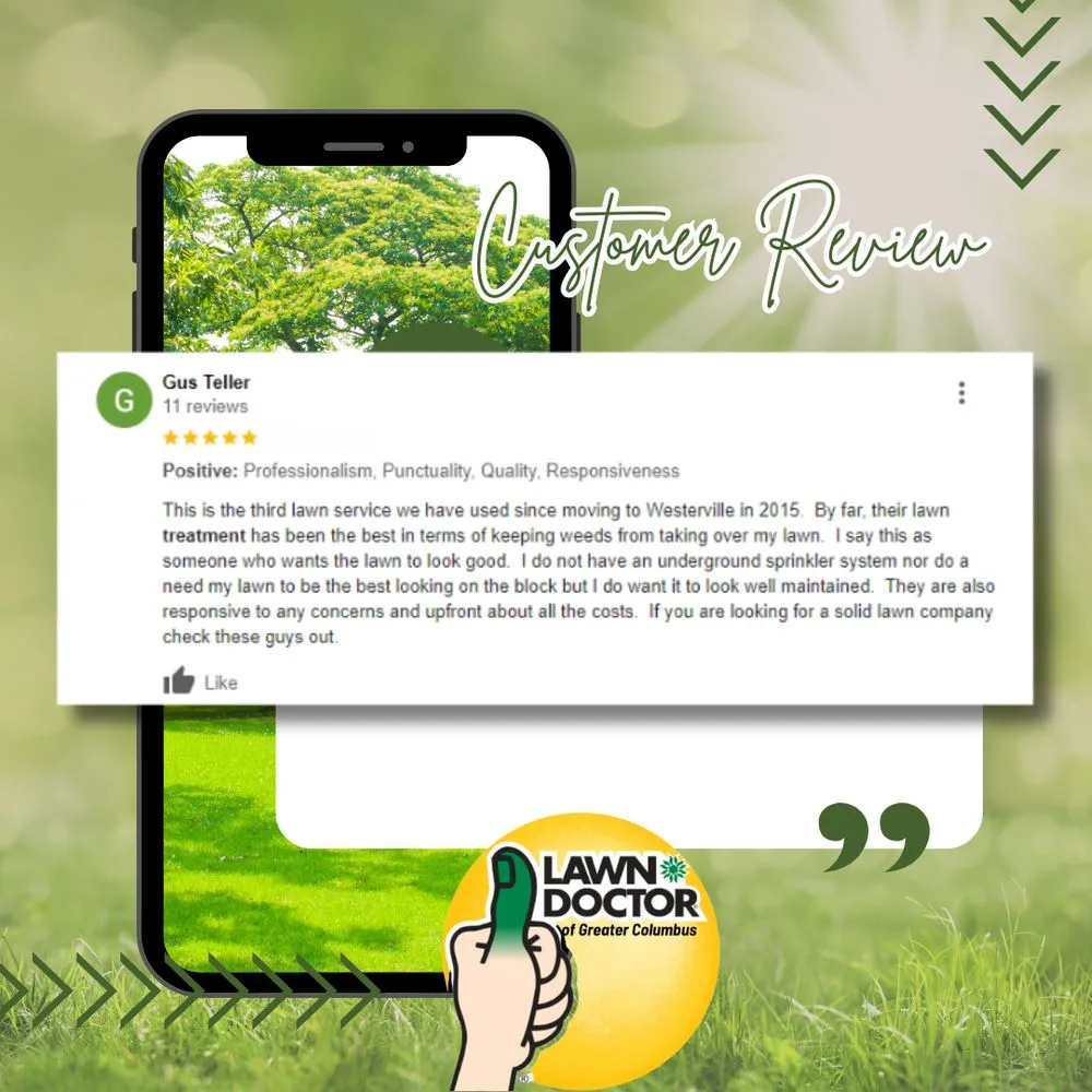 Custom yard cleanup service near you in Columbus, OH by Lawn Doctor - Columbus