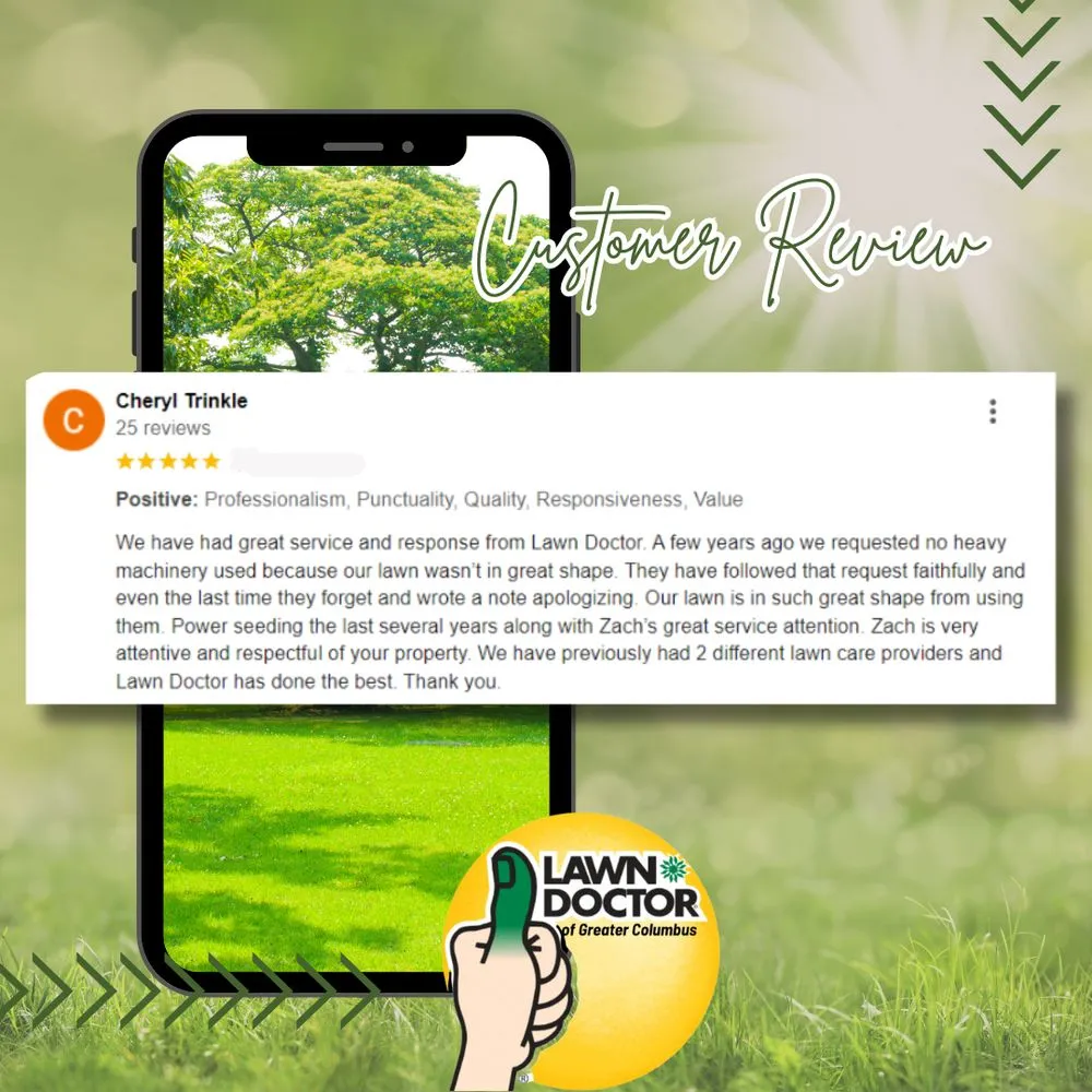 Reliable landscape installation for outdoor upgrades across Columbus, OH - Lawn Doctor - Columbus