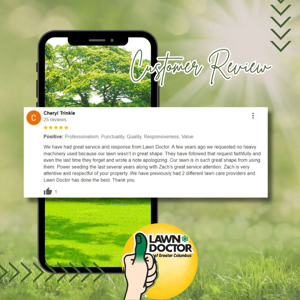 Expert landscaping services for residential properties in Columbus, OH by Lawn Doctor - Columbus