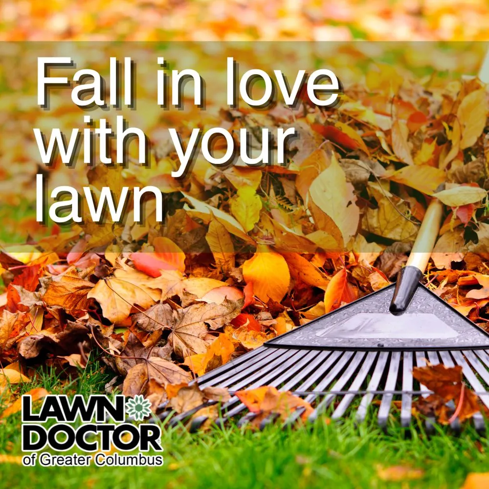 Reliable garden landscaping in Columbus, OH by Lawn Doctor - Columbus
