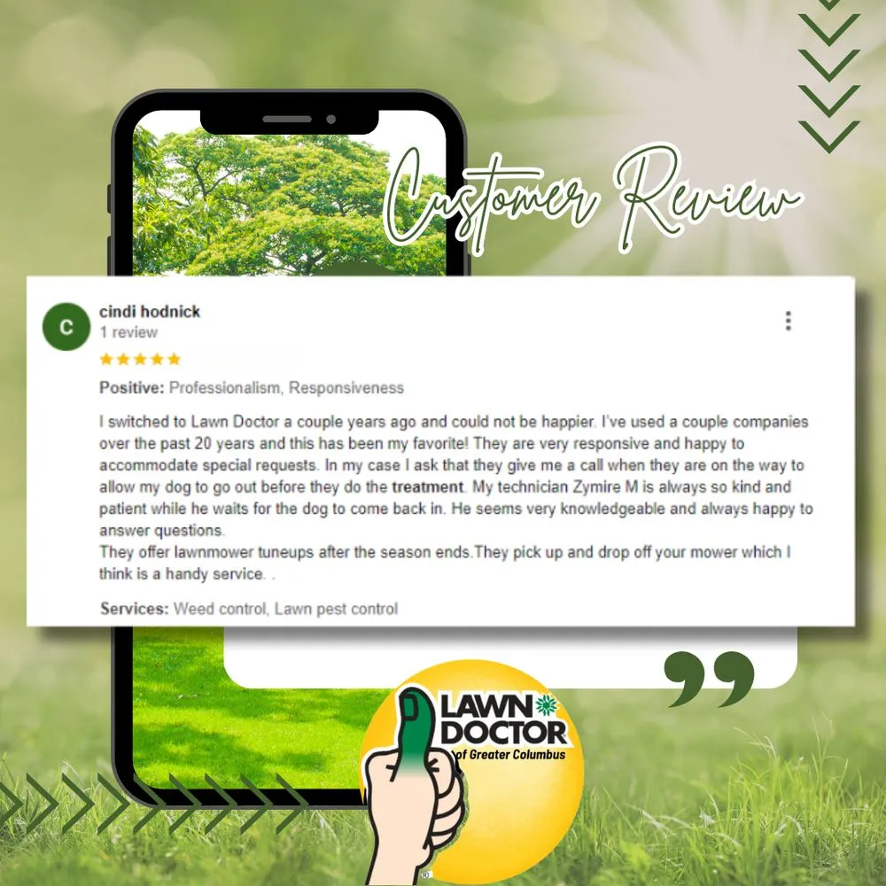 Top-rated residential landscaping in Columbus, OH by Lawn Doctor - Columbus