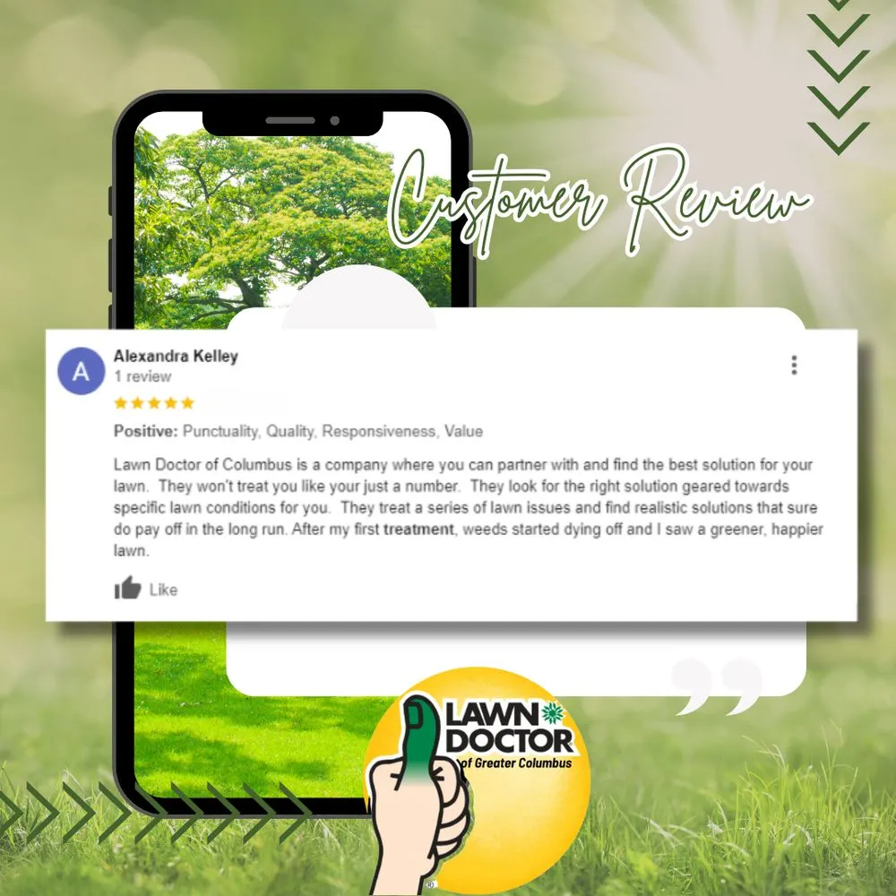 Professional landscape installation in Columbus, OH by Lawn Doctor - Columbus