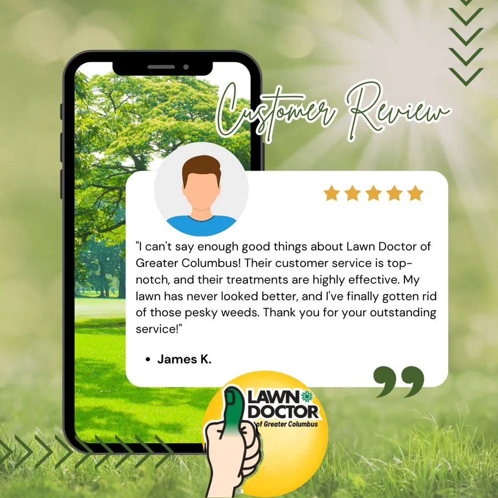 Custom residential landscaping for beautiful yards across Columbus, OH - Lawn Doctor - Columbus