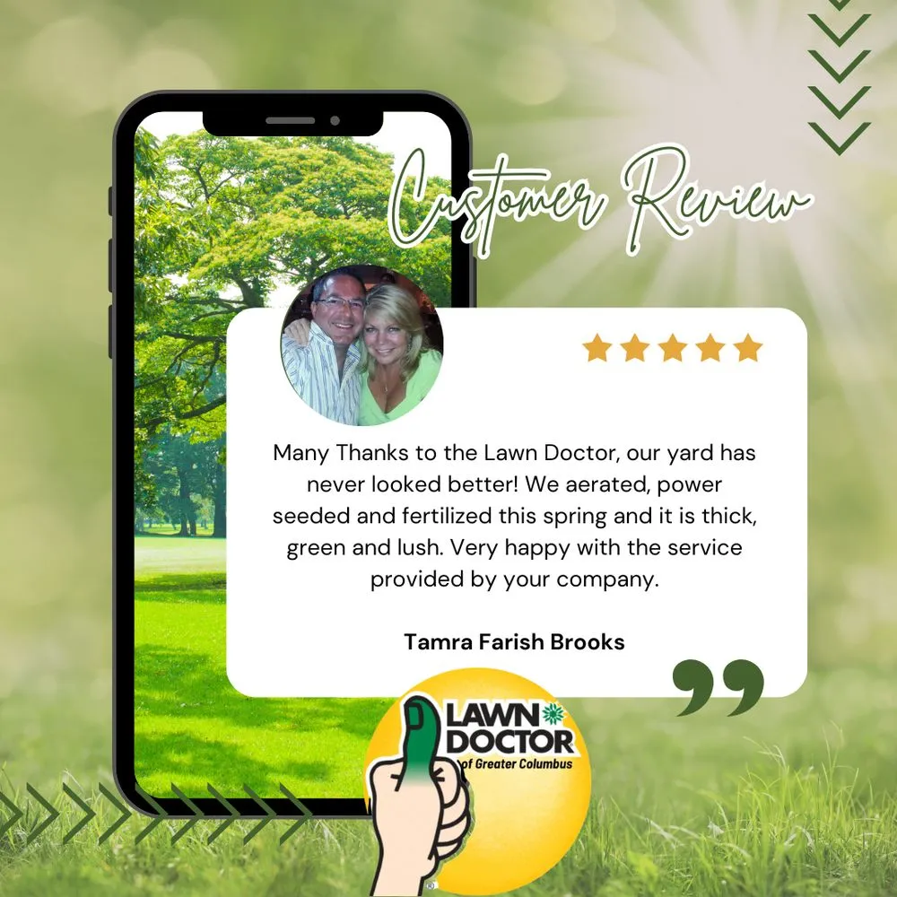 Custom landscape design experts serving Columbus, OH - Lawn Doctor - Columbus