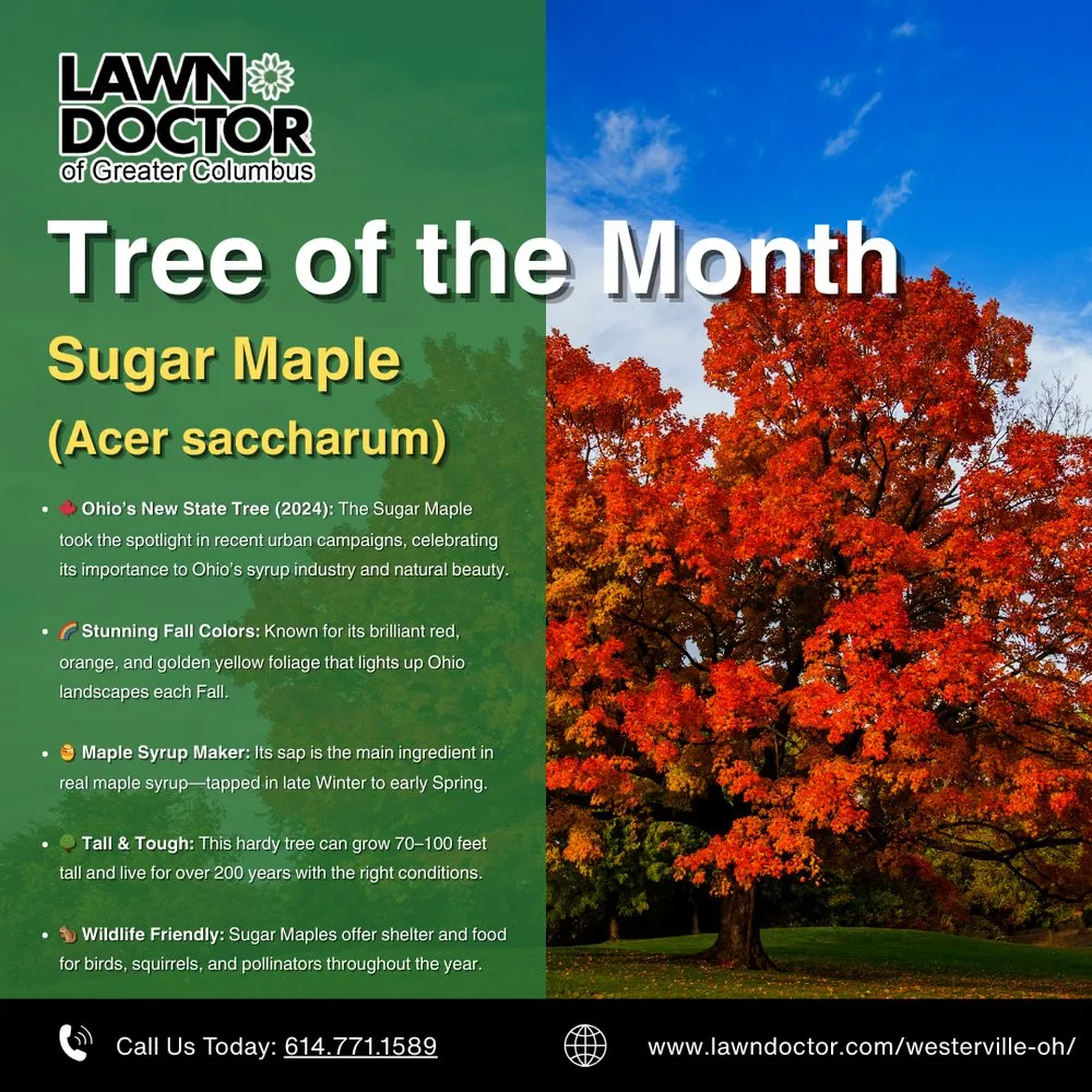 Expert landscape design in Columbus, OH - Lawn Doctor - Columbus