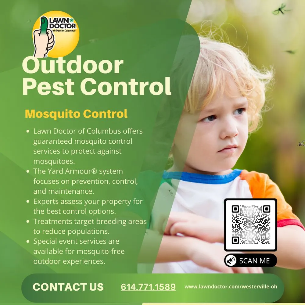 Top-rated yard cleanup service in Columbus, OH - Lawn Doctor - Columbus