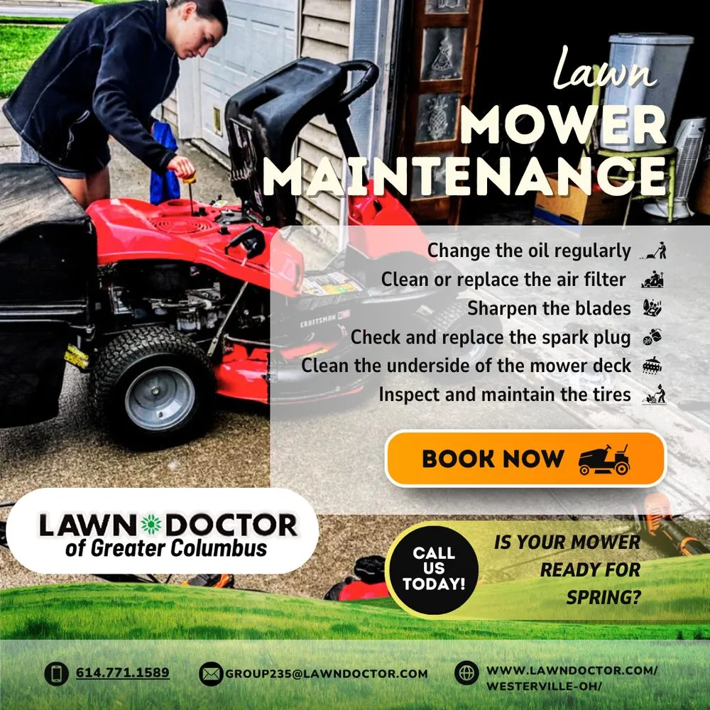 Local yard cleanup service for beautiful yards in Columbus, OH by Lawn Doctor - Columbus