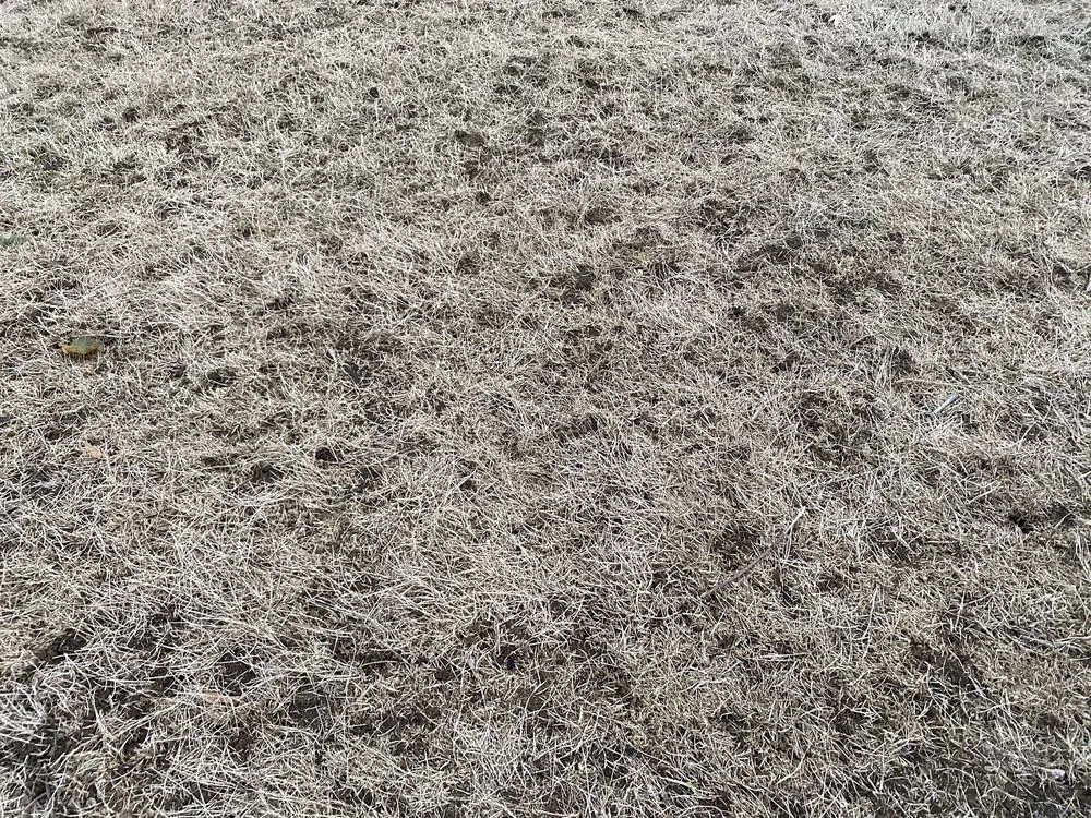 Top-rated yard maintenance experts serving East Providence, RI - Lawn Doctor - Rhode Island