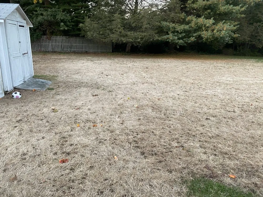 Professional residential landscaping in East Providence, RI by Lawn Doctor - Rhode Island