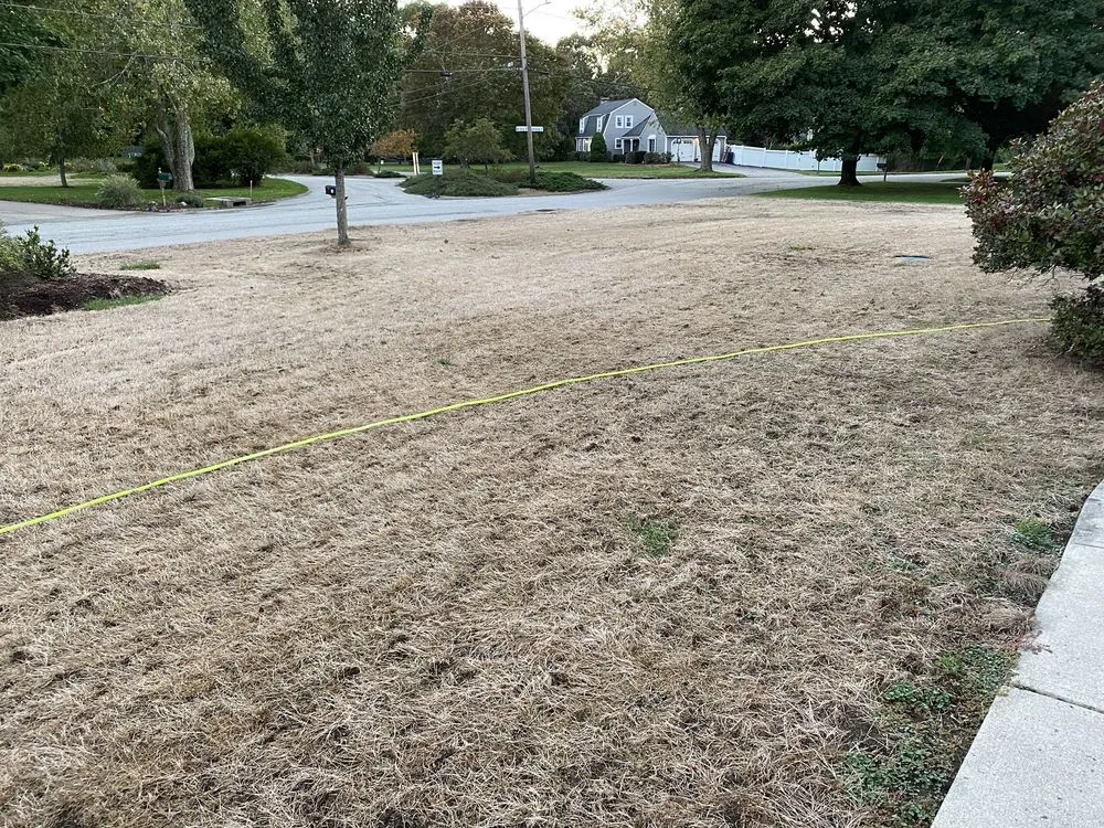 Local yard maintenance in East Providence, RI - Lawn Doctor - Rhode Island