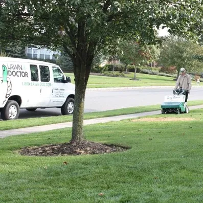 Custom yard cleanup service for outdoor upgrades across Antioch, IL - Lawn Doctor