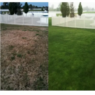 Expert yard maintenance in Antioch, IL - Lawn Doctor