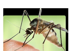 Top-rated landscape design in Aston, PA by Lawn Doctor