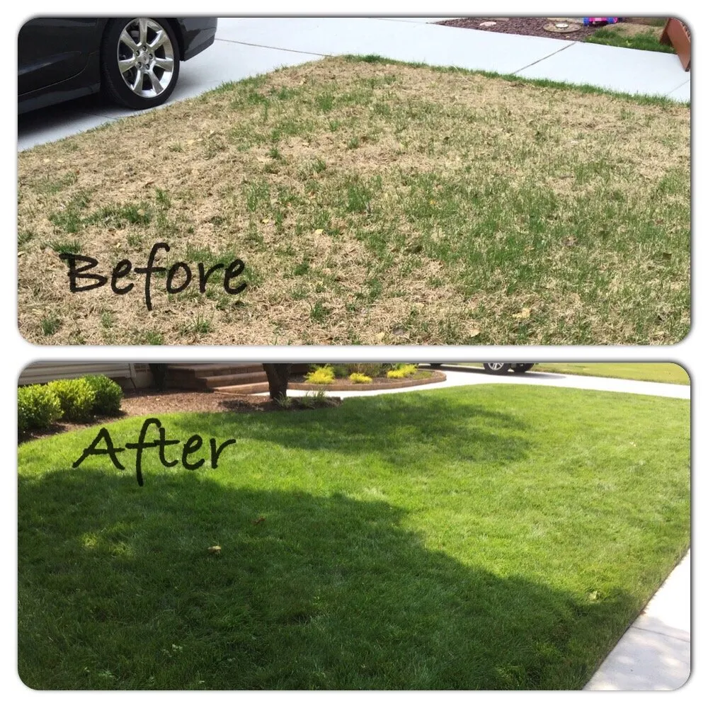 Top-rated residential landscaping experts serving Aston, PA - Lawn Doctor