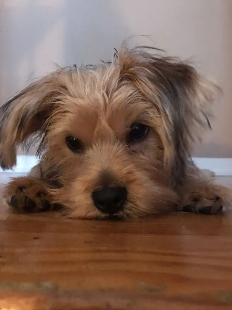 Top-rated landscaping services in Aston, PA by Lawn Doctor