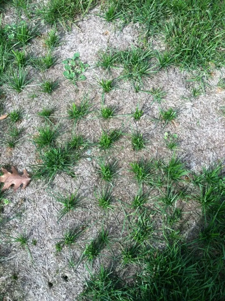 Top-rated garden landscaping in Aston, PA by Lawn Doctor