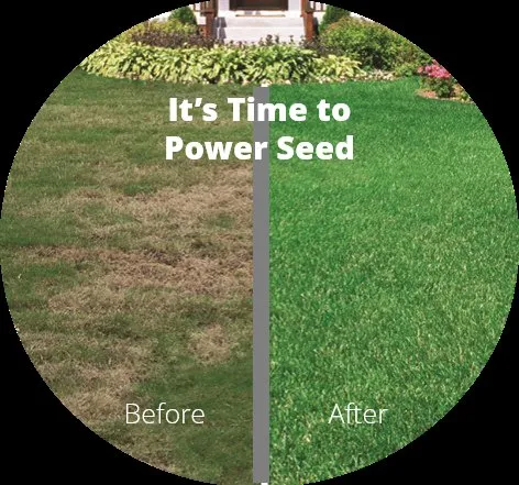 Affordable landscape design for year-round maintenance in Aston, PA by Lawn Doctor