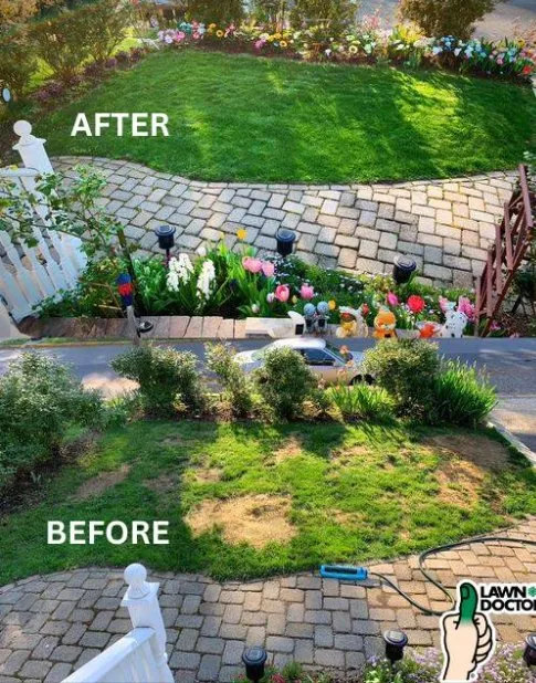 Custom lawn care service in Boynton Beach, FL by Lawn Doctor