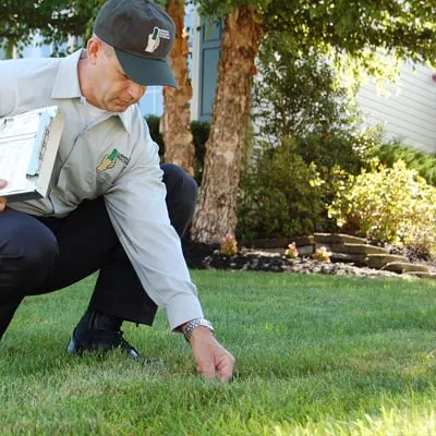 Affordable garden landscaping for beautiful yards in Chalfont, PA by Lawn Doctor