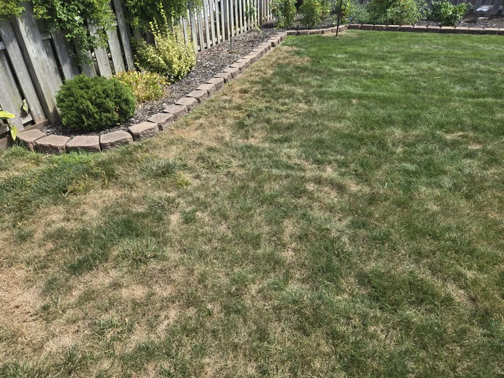 Custom yard maintenance for outdoor upgrades across Chardon, OH - Lawn Doctor