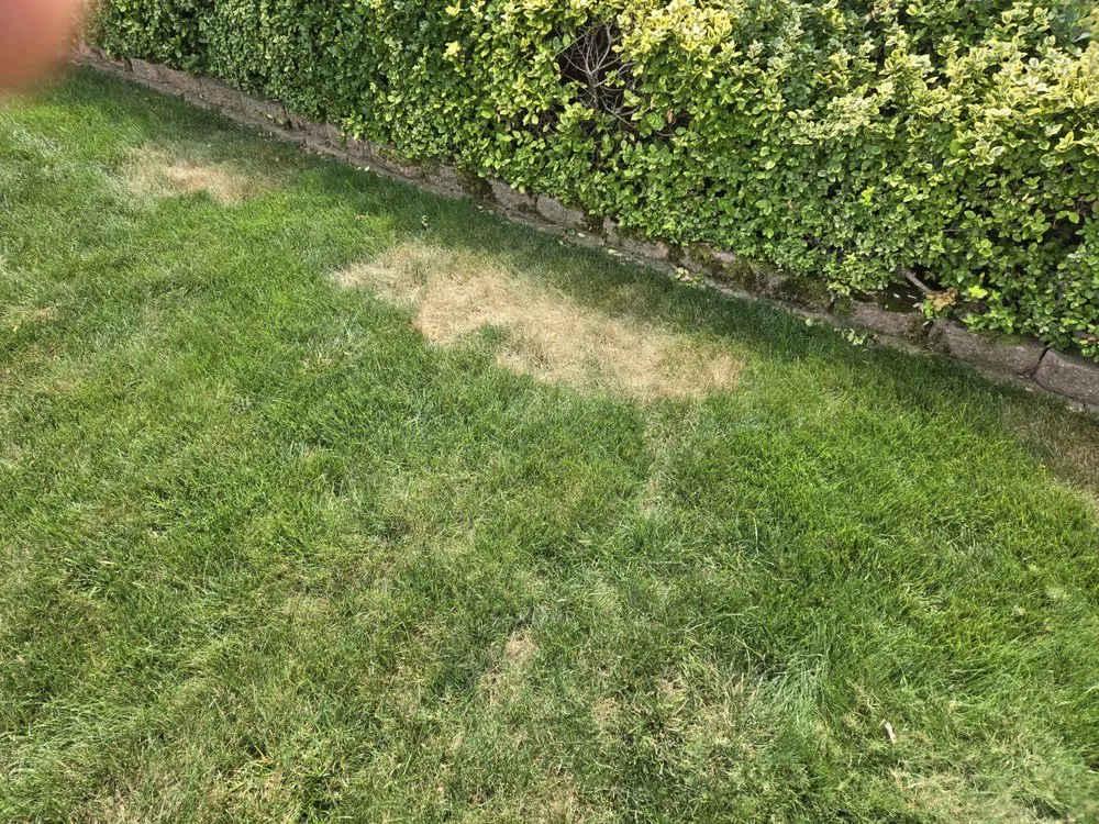 Reliable lawn care service in Chardon, OH by Lawn Doctor