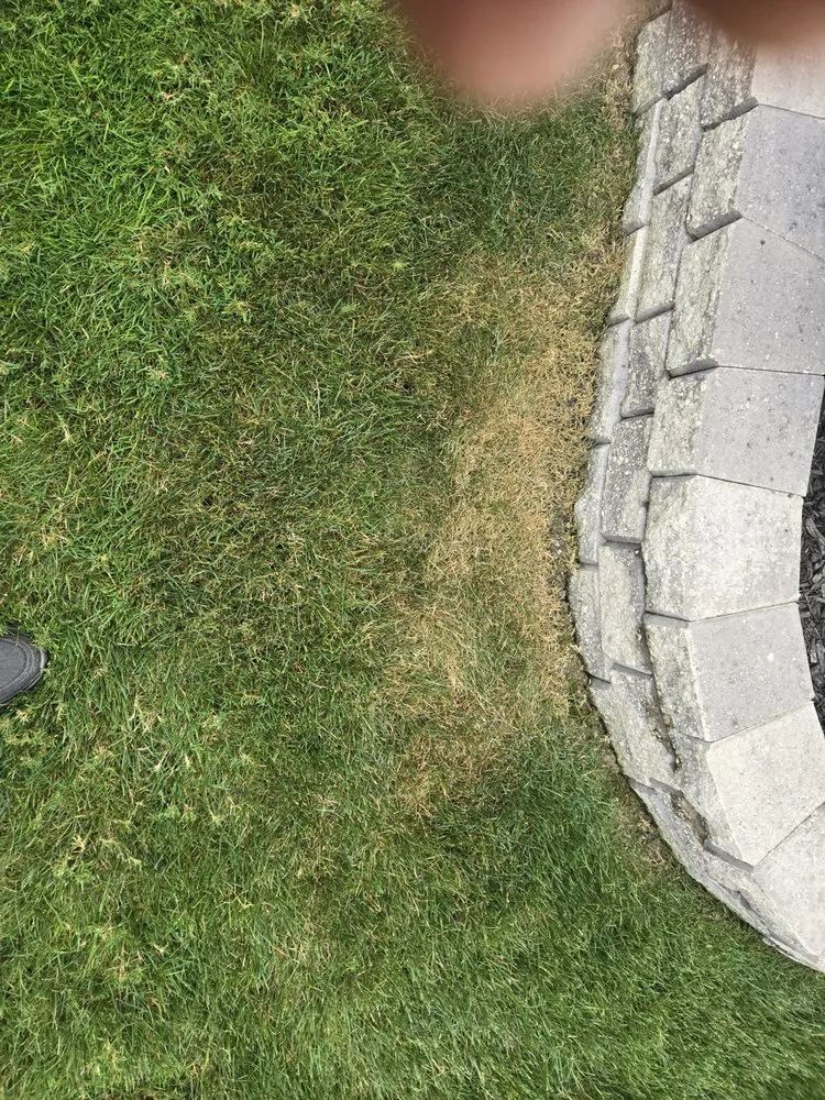 Affordable lawn care service in Chardon, OH - Lawn Doctor