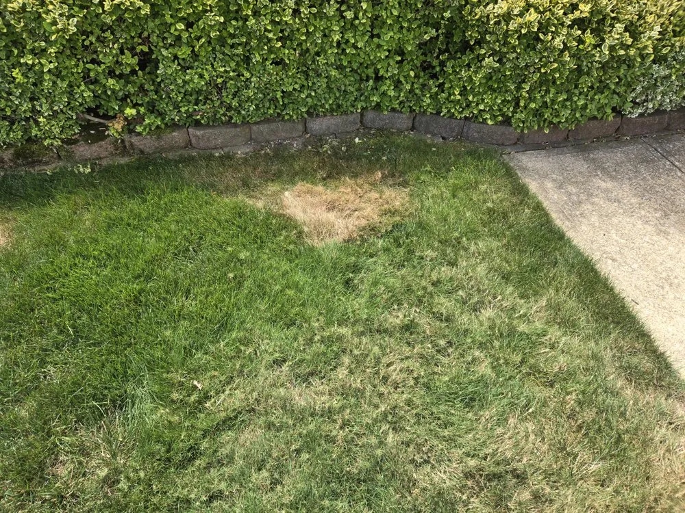 Custom yard maintenance in Chardon, OH by Lawn Doctor