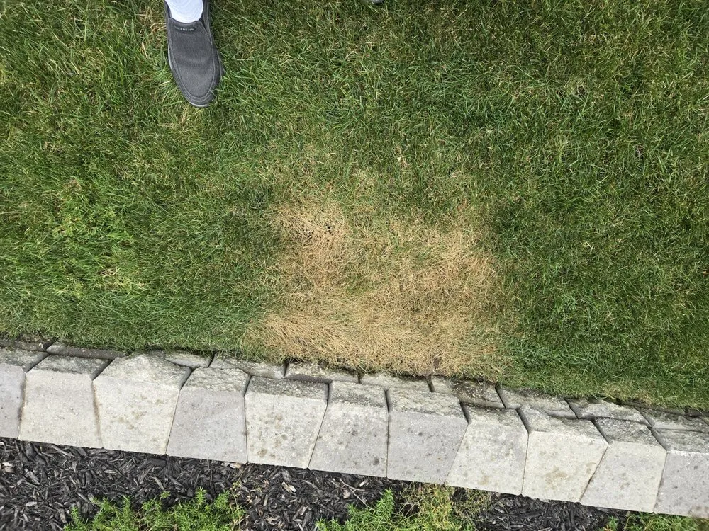 Professional residential landscaping with custom design in Chardon, OH by Lawn Doctor