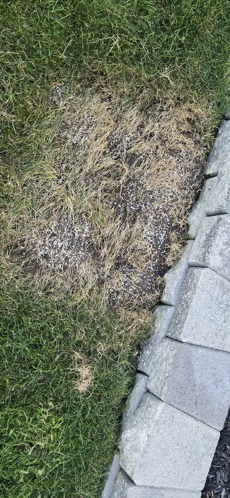 Professional garden landscaping for year-round maintenance across Chardon, OH - Lawn Doctor