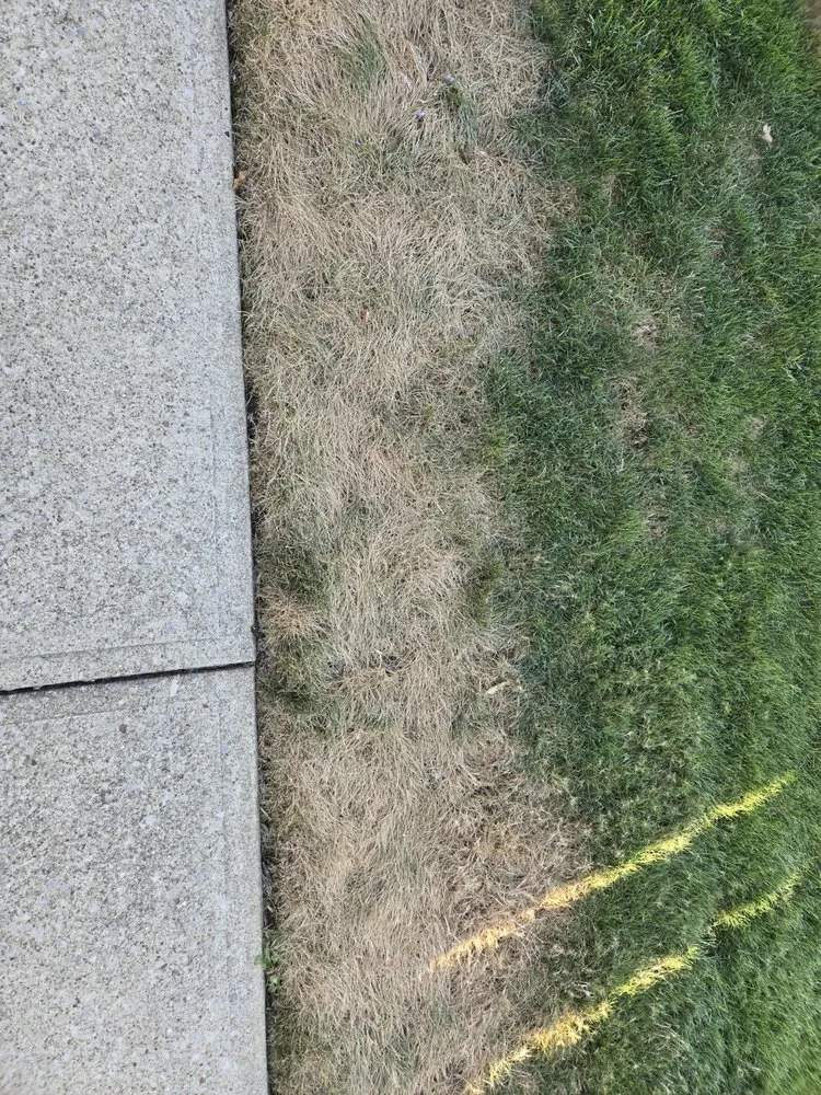 Expert residential landscaping in Chardon, OH - Lawn Doctor