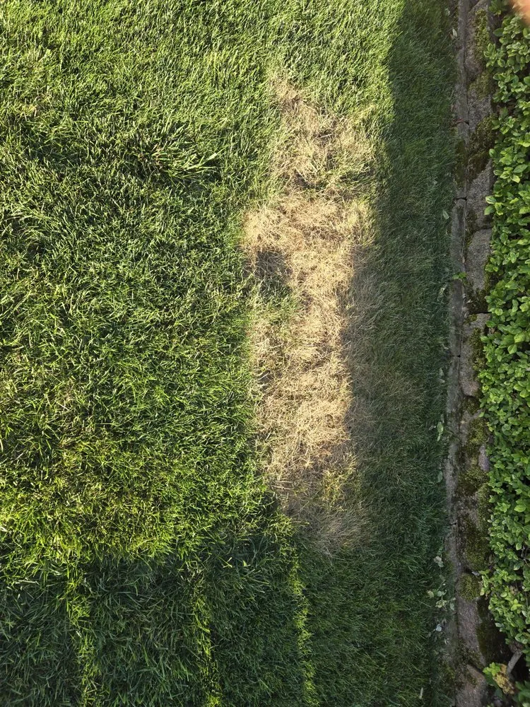 Top-rated garden landscaping experts serving Chardon, OH - Lawn Doctor