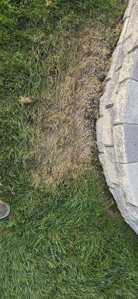 Local yard cleanup service in Chardon, OH by Lawn Doctor