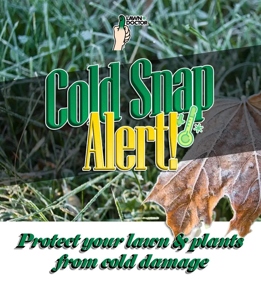 Reliable landscape installation in Clermont, FL by Lawn Doctor