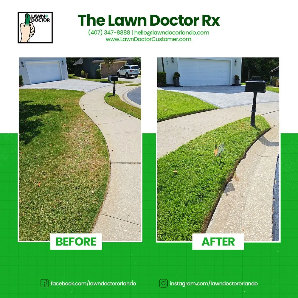 Local landscape design experts serving Clermont, FL - Lawn Doctor