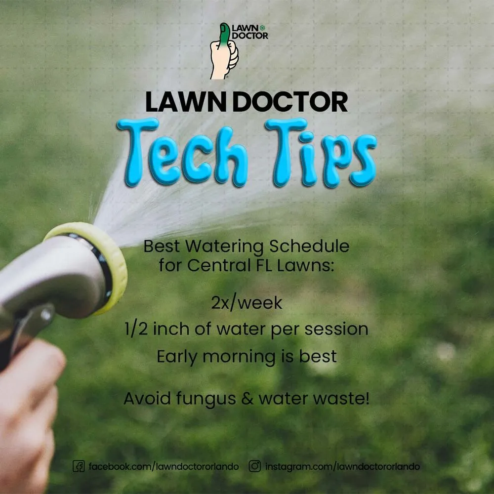 Professional lawn mowing service for outdoor upgrades across Clermont, FL - Lawn Doctor