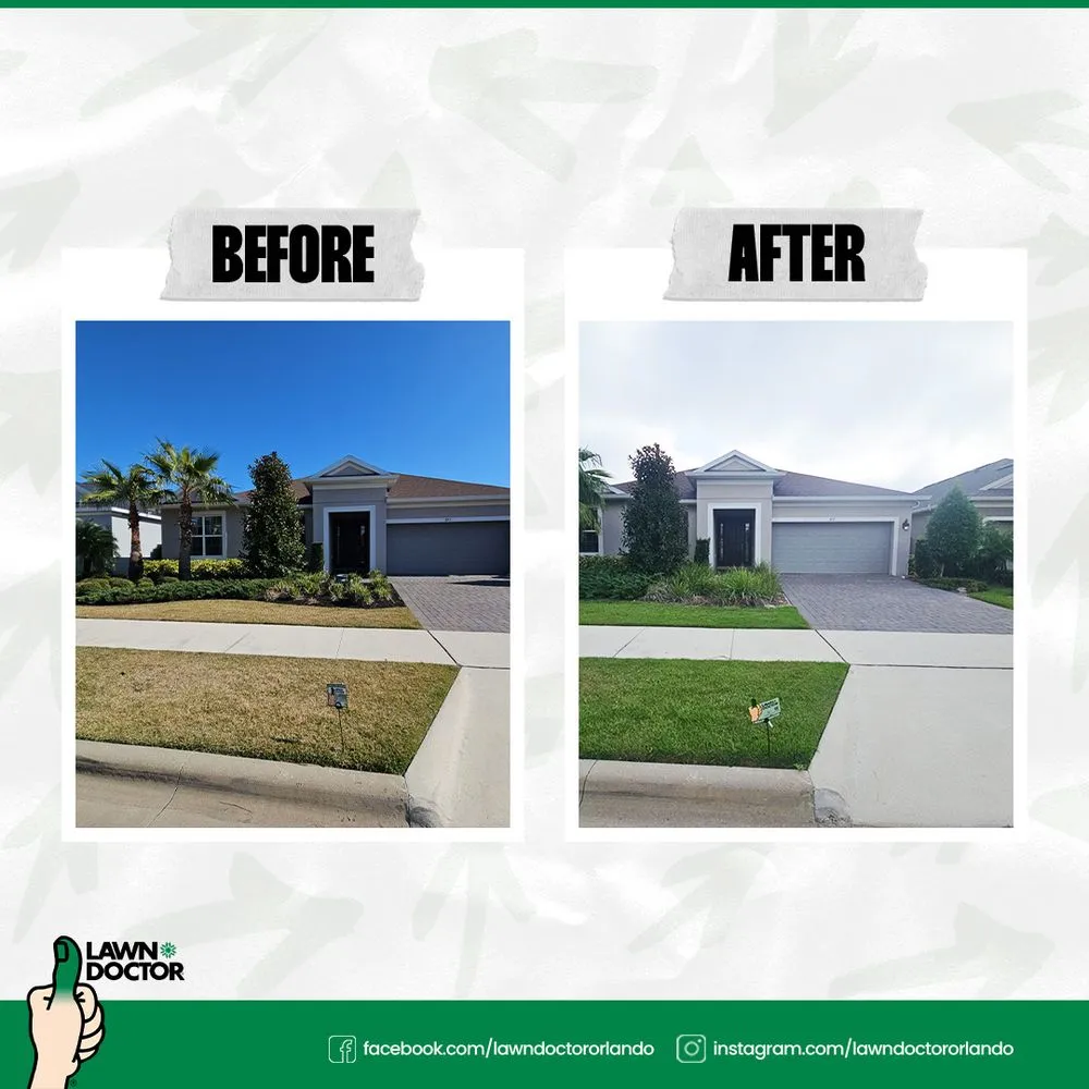 Custom yard maintenance for homes across Clermont, FL - Lawn Doctor