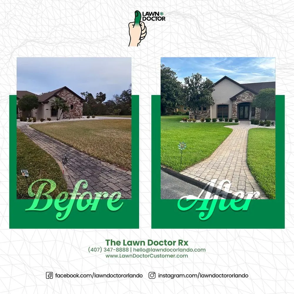 Local outdoor landscaping experts serving Clermont, FL - Lawn Doctor