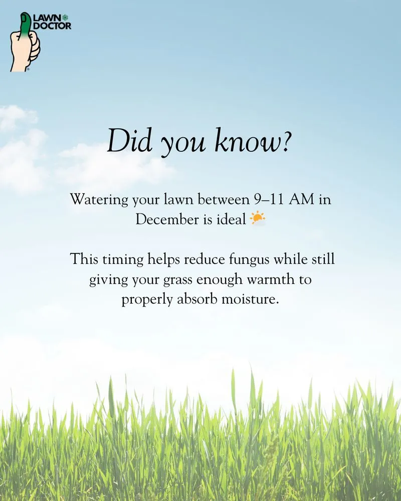 Local landscape design in Clermont, FL - Lawn Doctor