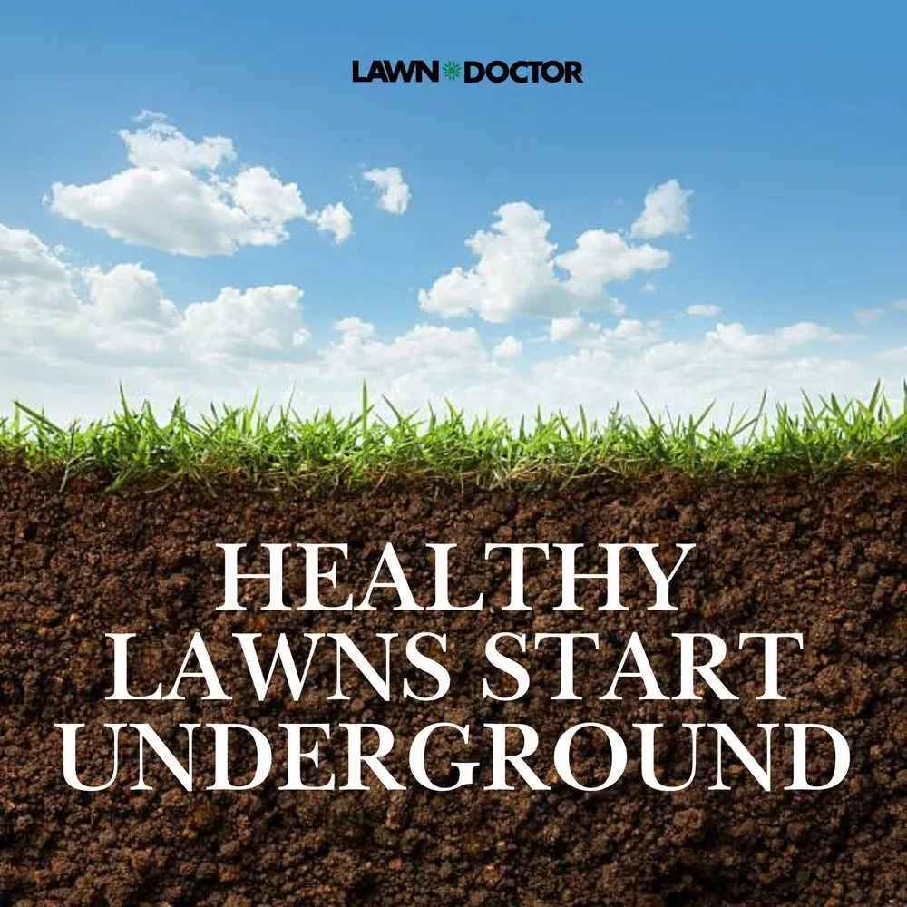 Custom yard maintenance for beautiful yards in Clermont, FL by Lawn Doctor