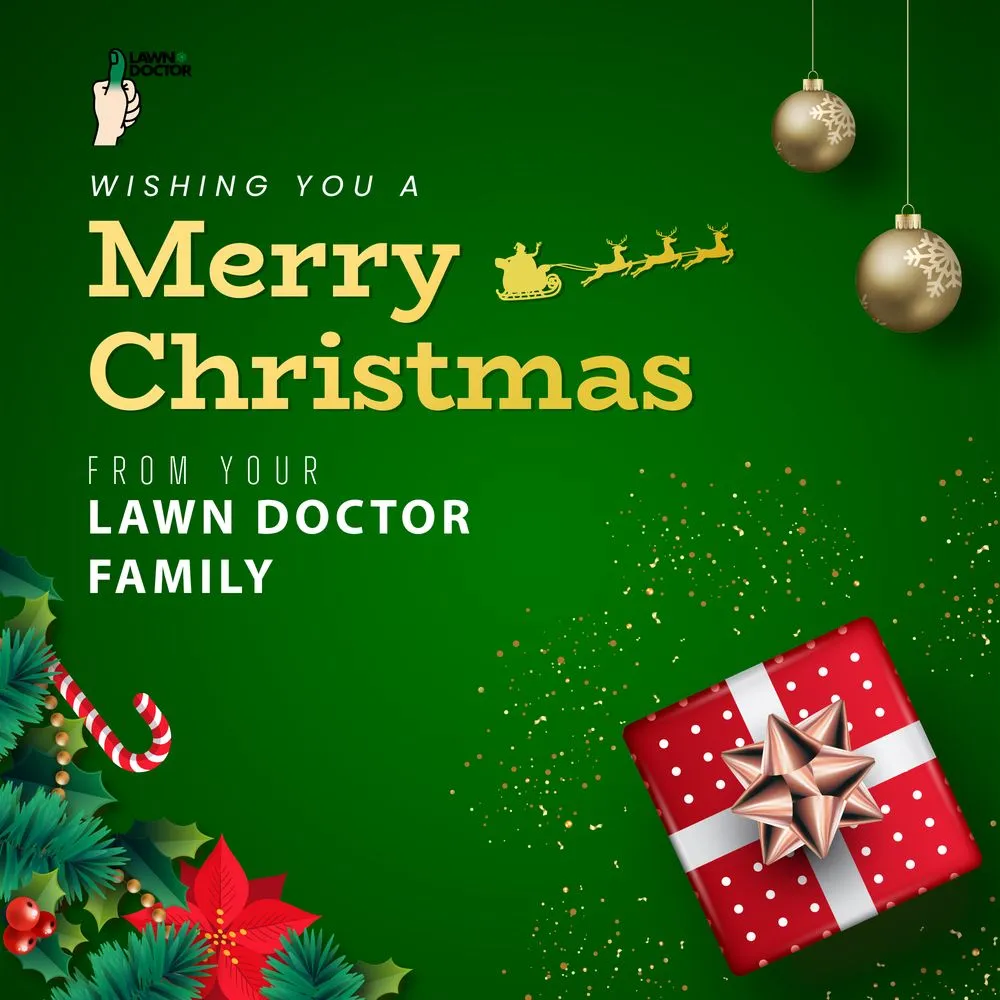 Trusted landscape design in Clermont, FL - Lawn Doctor