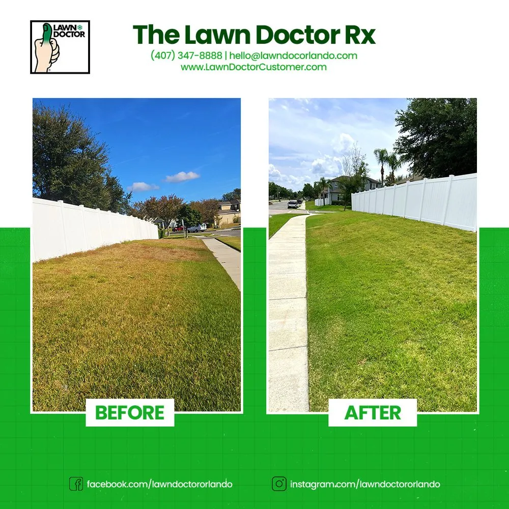Top-rated landscaping services for year-round maintenance across Clermont, FL - Lawn Doctor