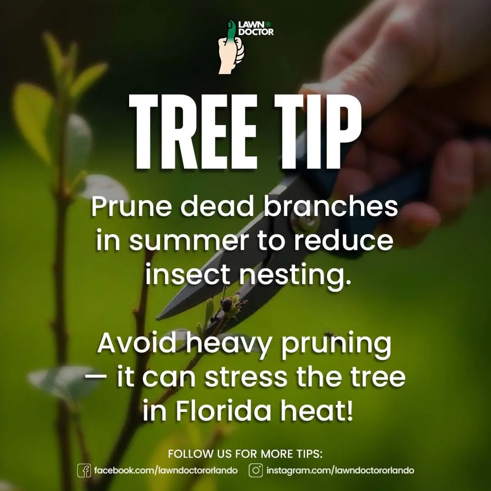 Trusted garden landscaping near you in Clermont, FL by Lawn Doctor