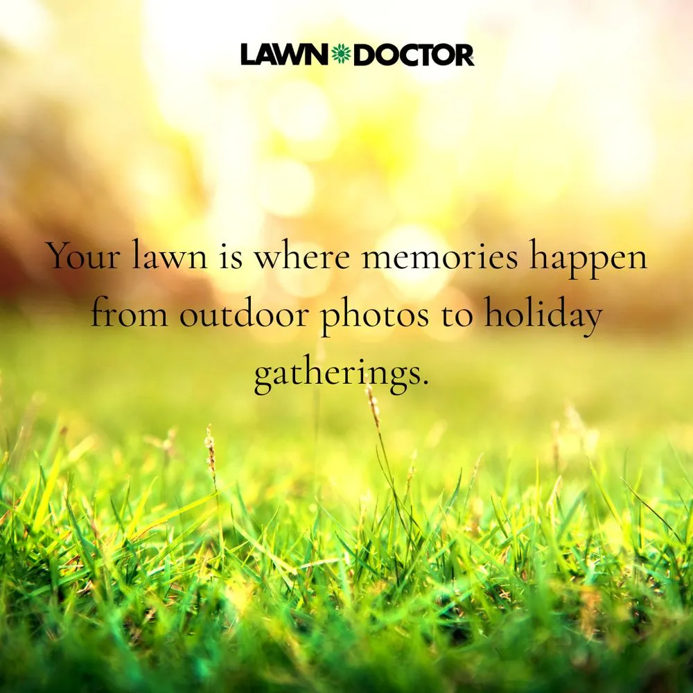 Custom landscape design with custom design across Clermont, FL - Lawn Doctor