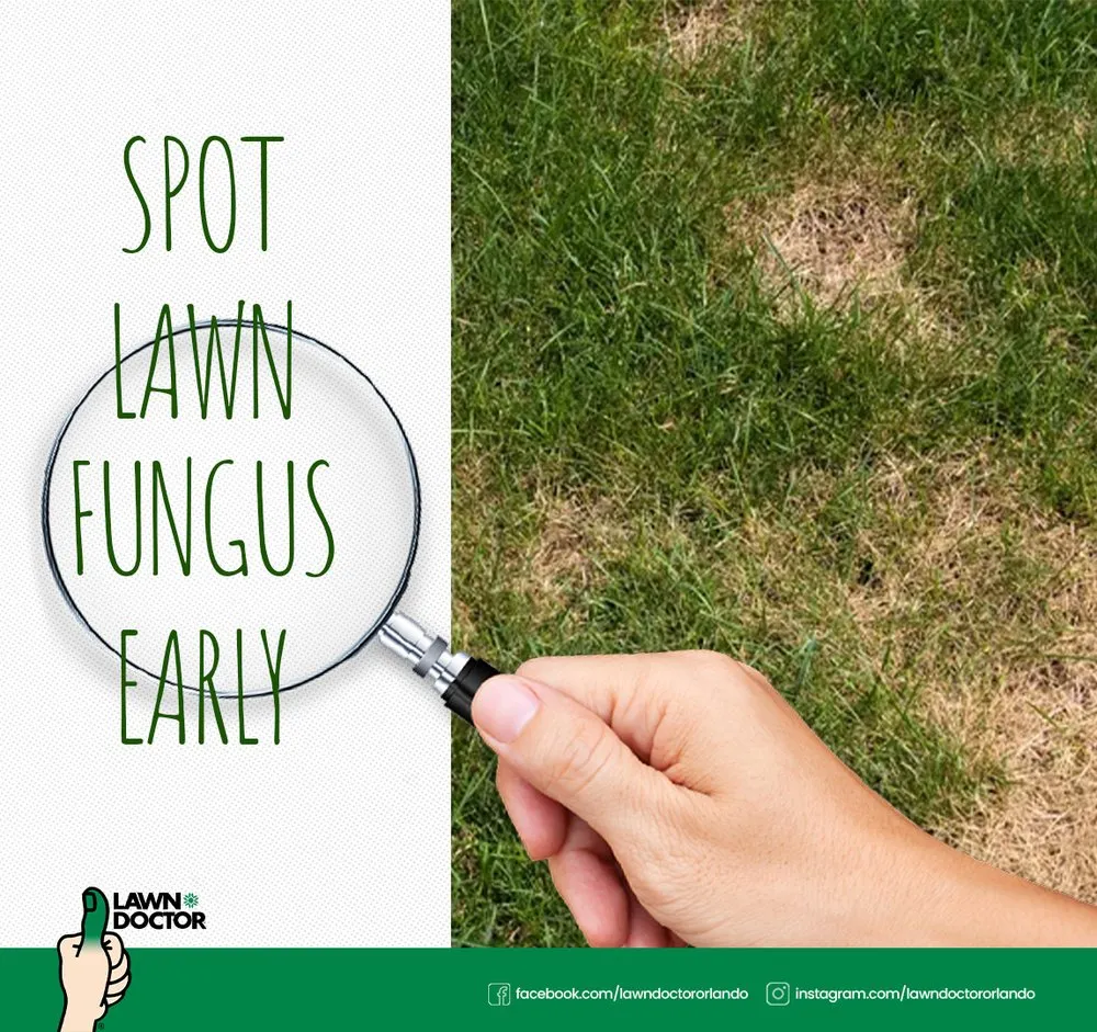 Local landscape design in Clermont, FL by Lawn Doctor